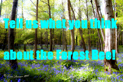 forest bee testimonial
