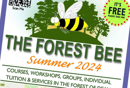 Forest Bee 2024
