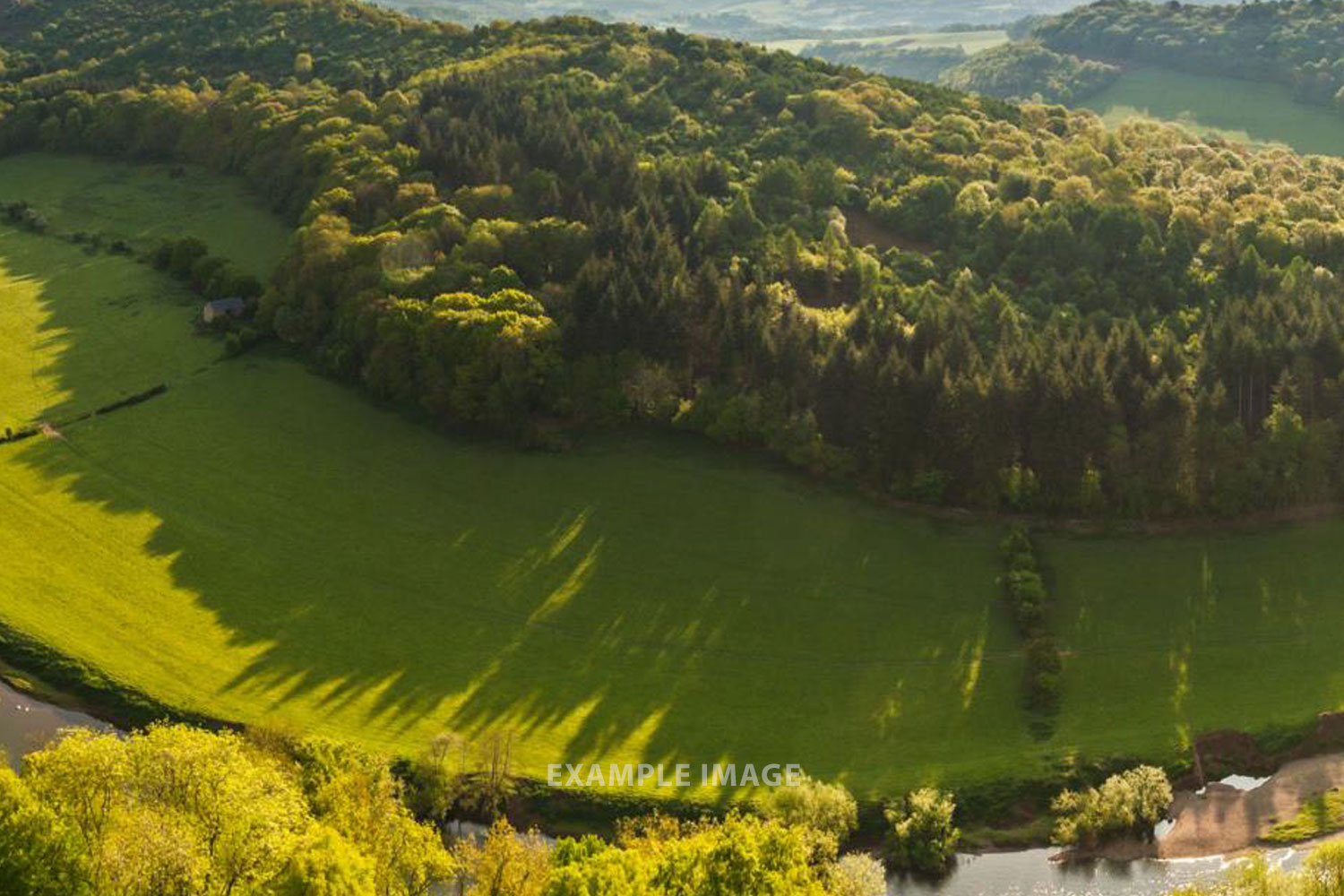 example-home-page-image Forest of Dean Wye