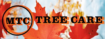 Maple Tree Logo